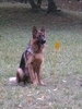 Erco