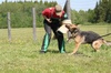 Tuukka Nikola seminar